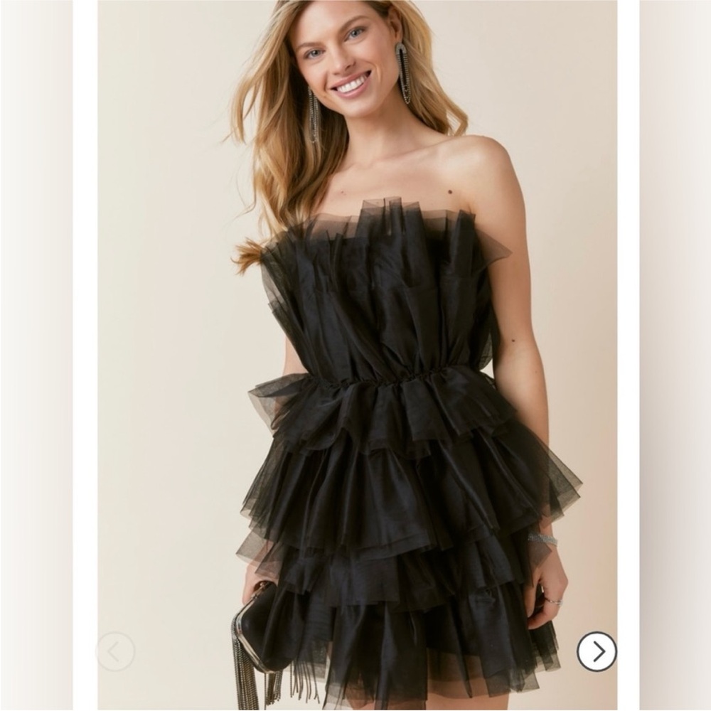NWT Suzie Tulle Tiered Dress Audrey Parks by Francesca’s